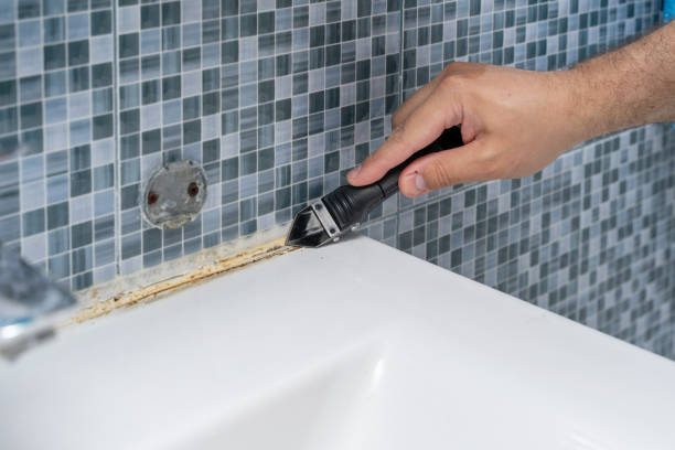 Best DIY Mold Remediation Support Services in Decatur, TN
